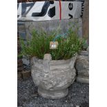 Concrete planter with cherub detail, planted with heather,