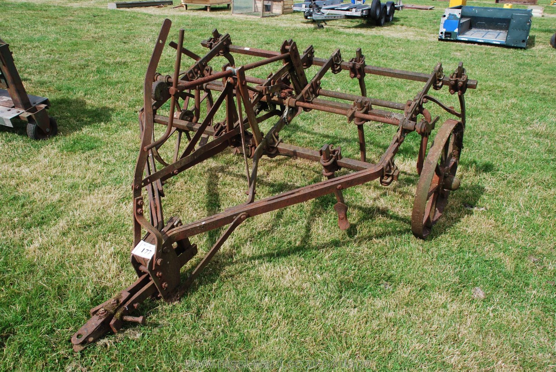 A trailed type vintage rigid tine Harrow.