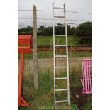 Ten rung Aluminium ladder.