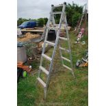 metamorphic step ladder/ladder.