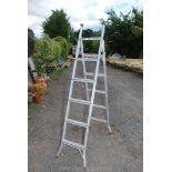 A Metamorphic set of aluminium step ladders.