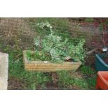 Concrete brick effect garden planter with shrub 32" x 11" x 8".