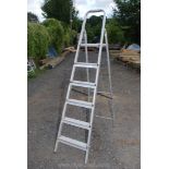 Five rung aluminium step ladder.