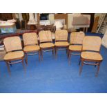 Six cane seated and backed bentwood chairs by Dinette.