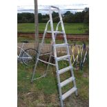 A set of five rung aluminium step ladders.