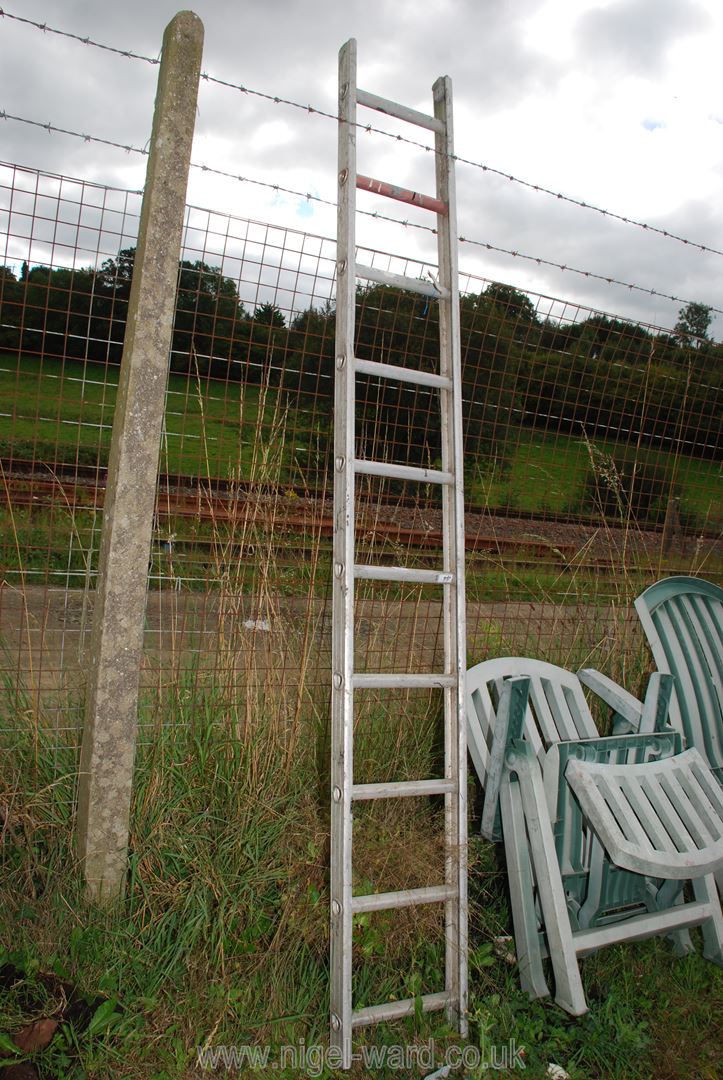 A ten rung aluminium ladder.