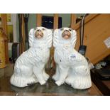 Two Staffordshire mantle spaniels 9 3/4" tall, gilt well rubbed, some hairline cracks.