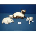 A Royal Doulton Siamese cat lying down, an Aynsley 'woolly lamb' lying down,