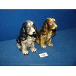 Two vintage cocker spaniels made of chalk ware; one being black & white, the other brown & white.