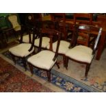 A set of six circa 1900 Mahogany framed Dining Chairs standing on turned front legs and having