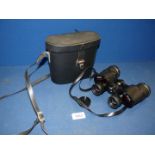 A set of Gemini 8x40 binoculars, cased.