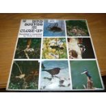 Victor Lewis bird sounds LP.