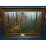 A framed oil on board of a woodland scene, signed lower right 'E.B. Wilson 17 1/4" x 13".