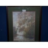 A framed and mounted print of a river scene with over hanging trees, unsigned. 17" x 21 3/4".
