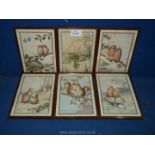 A collection of six animal watercolours; owls, squirrels, frogs, mice, rabbits and birds.