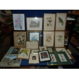 A quantity of prints and etchings including birds flowers buildings etc.