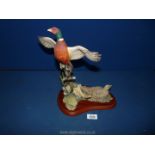 A Border Fine Arts figure of cock and hen Pheasants, titled 'Game Birds' no: A1392. Boxed.