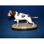 A Beswick 'Pointer' dog on a plinth. 8 1/2" tall x 11 1/2" length.