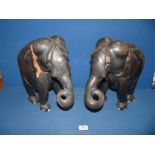 A pair of large and heavy ebonised Elephants, both a/f with large wood splits/losses,