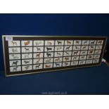 A full set of 50 dog 'Players' cigarette Cards, framed.