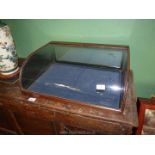 A Georgian Counter top glazed display Cabinet with curved glass, 23 1/2" wide x 18'' deep.