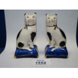A pair of small Staffordshire cats on cushions, 4 1/2'' tall.