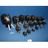 A quantity of ebony Elephants, various sizes.