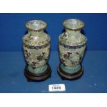 A boxed pair of glass cloisonne style vases with bird and flower decoration, ,with wooden plinths.