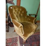 An elegant circa 1900 button backed tub Armchair standing on turned and carved front legs and