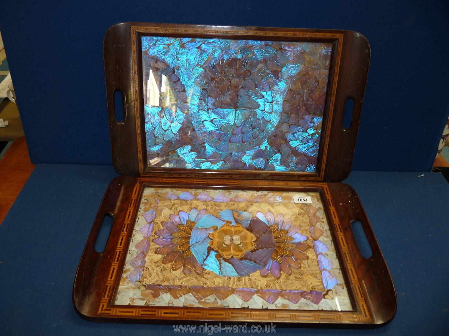 Two Brazilian Trays, the bases both inlaid with butterfly wings, labels verso,