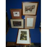 A quantity of prints including a Ltd Edition print 22/100 'Brown Mouse', The Celebrated Sportsman J.