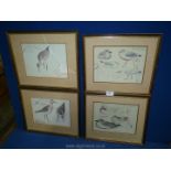 Four framed and mounted prints of Bird Studies, one glass a/f.