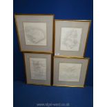 Four framed and mounted pencil drawings 'Wild Rabbit', 'Bumble the Cat', 'Fluff the Cat' etc,