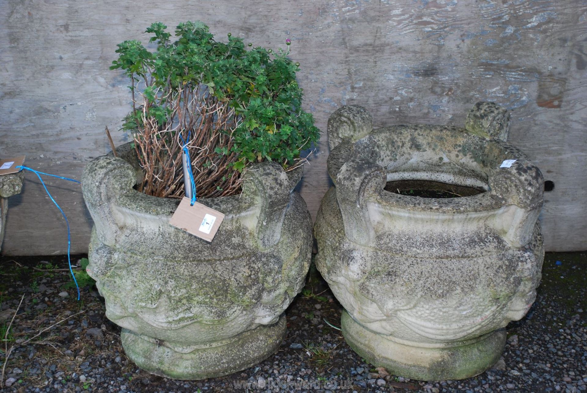 Pair of concrete garden urns, (one being planted), 20'' high x 20'' diameter.