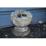 Concrete garden planter base, 13'' diameter x 12'' high.