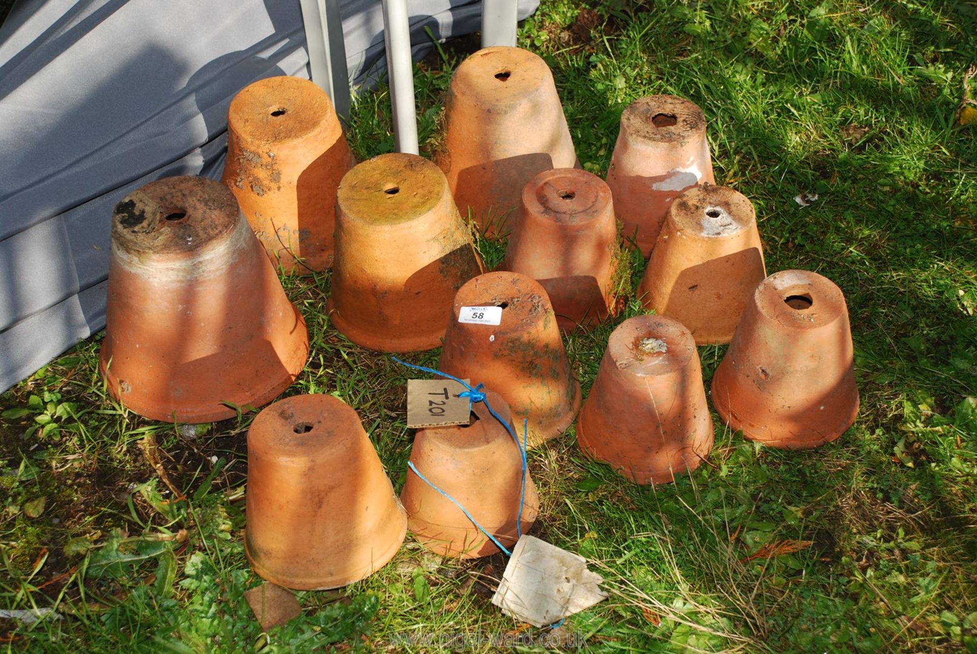 Quantity of terracotta flowerpots