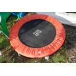 Small trampoline/exerciser