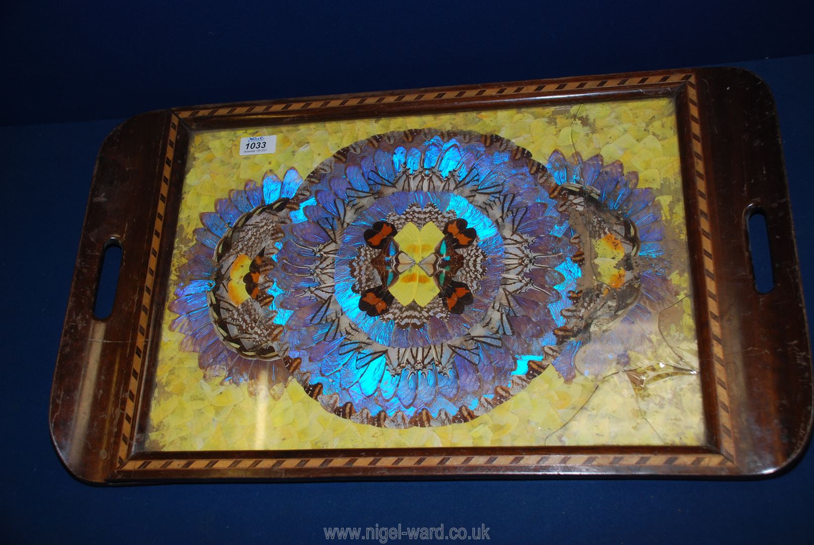 A Brazilian butterfly wing inlay wood serving Tray with iridescent blue wings and yellow wing