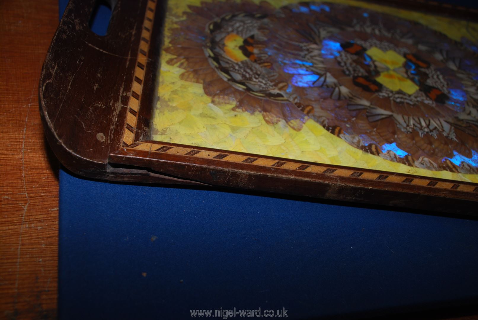 A Brazilian butterfly wing inlay wood serving Tray with iridescent blue wings and yellow wing - Image 3 of 3