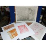 A portfolio of miscellaneous Prints including Charlotte Ardrizzone.