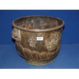 A large brass coal bucket with lion head ring handles and crest to the front, some damage.