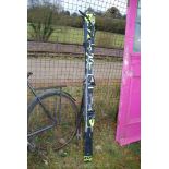 Pair of 67'' skis and poles