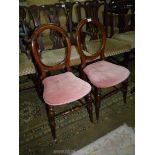 A pair of satinwood framed circa 1900 balloon backed bedroom chairs,