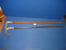 Two horn handled walking sticks with silver collars including London 1921 by Kendall & Sons,