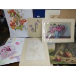 A quantity of unframed botanical watercolours and drawings of fruit and flowers.