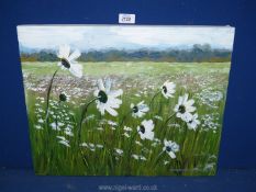 Christopher Jarman: oil painting of Daisies.