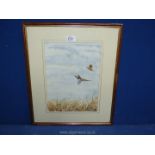 Simon Arkwright: watercolour of Pheasants.