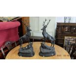 A pair of bronze Stags on base