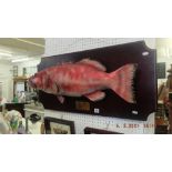 A mounted model of a fish,