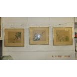 Three framed oriental bird scenes, watercolours on cloth,